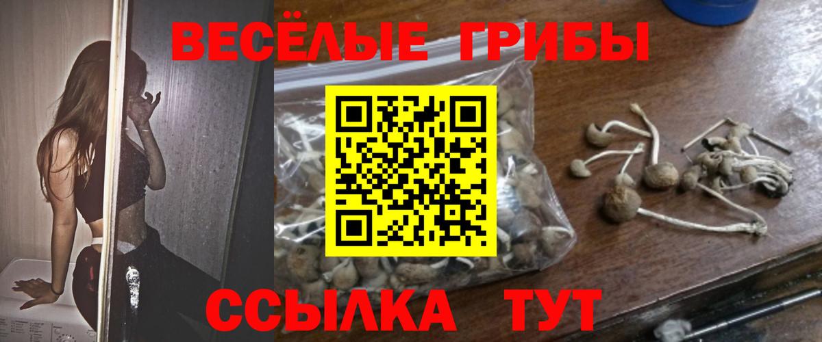 сколько стоит  Вход с VPN  Тихвин  Псилоцибиновые грибы мухоморы  Псилоцибиновые грибы MAGIC MUSHROOMS 